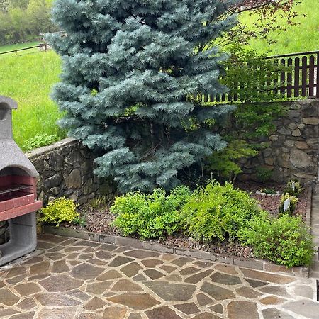 Villetta Sulle Dolomiti Pracorno di Rabbi Екстер'єр фото